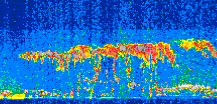 /calipso-imagery/data/BROWSE/production/V5-00/2021-08-11/2021-08-11_08-49-45_V5.00_2_thmb.png image missing