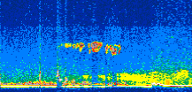 /calipso-imagery/data/BROWSE/production/V5-00/2021-08-11/2021-08-11_10-28-16_V5.00_2_thmb.png image missing