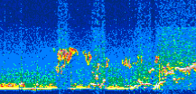 /calipso-imagery/data/BROWSE/production/V5-00/2021-08-11/2021-08-11_15-23-46_V5.00_3_thmb.png image missing
