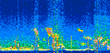 /calipso-imagery/data/BROWSE/production/V5-00/2021-08-11/2021-08-11_17-02-16_V5.00_3_thmb.png image missing