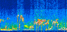 /calipso-imagery/data/BROWSE/production/V5-00/2021-08-11/2021-08-11_18-40-47_V5.00_3_thmb.png image missing