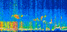 /calipso-imagery/data/BROWSE/production/V5-00/2021-08-11/2021-08-11_20-19-17_V5.00_2_thmb.png image missing