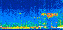 /calipso-imagery/data/BROWSE/production/V5-00/2021-08-11/2021-08-11_21-57-47_V5.00_2_thmb.png image missing