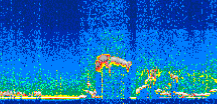 /calipso-imagery/data/BROWSE/production/V5-00/2021-08-11/2021-08-11_23-36-17_V5.00_3_thmb.png image missing