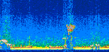 /calipso-imagery/data/BROWSE/production/V5-00/2021-08-16/2021-08-16_00-28-19_V5.00_2_thmb.png image missing