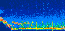 /calipso-imagery/data/BROWSE/production/V5-00/2021-08-16/2021-08-16_08-40-50_V5.00_1_thmb.png image missing