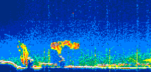 /calipso-imagery/data/BROWSE/production/V5-00/2021-08-16/2021-08-16_11-57-56_V5.00_1_thmb.png image missing