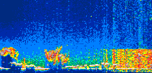 /calipso-imagery/data/BROWSE/production/V5-00/2021-08-16/2021-08-16_16-53-26_V5.00_1_thmb.png image missing