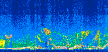 /calipso-imagery/data/BROWSE/production/V5-00/2021-08-20/2021-08-20_14-28-23_V5.00_3_thmb.png image missing