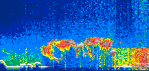 /calipso-imagery/data/BROWSE/production/V5-00/2021-08-20/2021-08-20_16-06-53_V5.00_1_thmb.png image missing