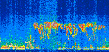 /calipso-imagery/data/BROWSE/production/V5-00/2021-08-24/2021-08-24_03-50-49_V5.00_2_thmb.png image missing