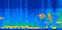 /calipso-imagery/data/BROWSE/production/V5-00/2021-08-24/2021-08-24_21-54-21_V5.00_2_thmb.png image missing