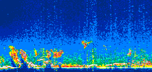 /calipso-imagery/data/BROWSE/production/V5-00/2021-08-26/2021-08-26_01-49-00_V5.00_1_thmb.png image missing