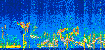/calipso-imagery/data/BROWSE/production/V5-00/2021-08-26/2021-08-26_05-06-00_V5.00_3_thmb.png image missing