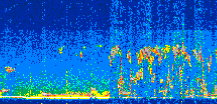 /calipso-imagery/data/BROWSE/production/V5-00/2021-08-26/2021-08-26_06-44-30_V5.00_2_thmb.png image missing
