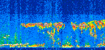 /calipso-imagery/data/BROWSE/production/V5-00/2021-08-26/2021-08-26_08-23-00_V5.00_2_thmb.png image missing