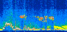 /calipso-imagery/data/BROWSE/production/V5-00/2021-08-26/2021-08-26_10-01-31_V5.00_2_thmb.png image missing