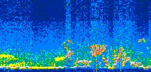 /calipso-imagery/data/BROWSE/production/V5-00/2021-08-26/2021-08-26_11-40-01_V5.00_3_thmb.png image missing