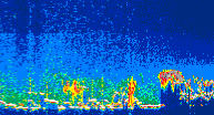/calipso-imagery/data/BROWSE/production/V5-00/2021-08-26/2021-08-26_18-14-07_V5.00_4_thmb.png image missing