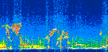 /calipso-imagery/data/BROWSE/production/V5-00/2021-08-26/2021-08-26_19-52-32_V5.00_3_thmb.png image missing