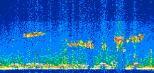 /calipso-imagery/data/BROWSE/production/V5-00/2021-08-26/2021-08-26_21-31-07_V5.00_2_thmb.png image missing