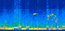 /calipso-imagery/data/BROWSE/production/V5-00/2021-08-28/2021-08-28_01-25-41_V5.00_2_thmb.png image missing