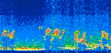 /calipso-imagery/data/BROWSE/production/V5-00/2021-08-28/2021-08-28_01-25-41_V5.00_3_thmb.png image missing