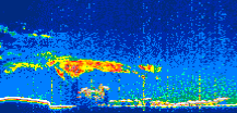 /calipso-imagery/data/BROWSE/production/V5-00/2021-08-28/2021-08-28_06-21-11_V5.00_1_thmb.png image missing