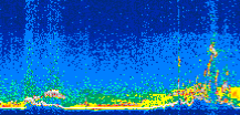 /calipso-imagery/data/BROWSE/production/V5-00/2021-08-28/2021-08-28_11-16-47_V5.00_2_thmb.png image missing