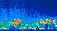 /calipso-imagery/data/BROWSE/production/V5-00/2021-08-28/2021-08-28_11-16-47_V5.00_4_thmb.png image missing