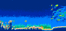 /calipso-imagery/data/BROWSE/production/V5-00/2021-08-28/2021-08-28_13-47-47_V5.00_3_thmb.png image missing
