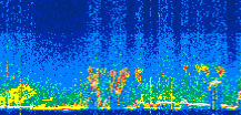 /calipso-imagery/data/BROWSE/production/V5-00/2021-08-28/2021-08-28_14-33-47_V5.00_3_thmb.png image missing