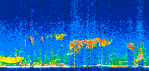 /calipso-imagery/data/BROWSE/production/V5-00/2021-08-28/2021-08-28_17-50-48_V5.00_3_thmb.png image missing
