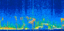 /calipso-imagery/data/BROWSE/production/V5-00/2021-08-30/2021-08-30_02-40-57_V5.00_3_thmb.png image missing