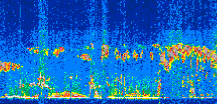 /calipso-imagery/data/BROWSE/production/V5-00/2021-08-30/2021-08-30_04-19-27_V5.00_2_thmb.png image missing