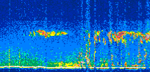 /calipso-imagery/data/BROWSE/production/V5-00/2021-08-30/2021-08-30_05-57-57_V5.00_2_thmb.png image missing