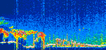 /calipso-imagery/data/BROWSE/production/V5-00/2021-08-30/2021-08-30_07-36-27_V5.00_1_thmb.png image missing