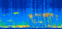 /calipso-imagery/data/BROWSE/production/V5-00/2021-08-30/2021-08-30_07-36-27_V5.00_2_thmb.png image missing