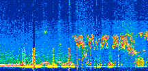 /calipso-imagery/data/BROWSE/production/V5-00/2021-08-30/2021-08-30_09-14-58_V5.00_2_thmb.png image missing