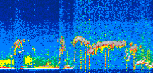 /calipso-imagery/data/BROWSE/production/V5-00/2021-08-30/2021-08-30_15-48-58_V5.00_3_thmb.png image missing