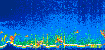 /calipso-imagery/data/BROWSE/production/V5-00/2021-10-04/2021-10-04_03-15-38_V5.00_1_thmb.png image missing