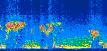 /calipso-imagery/data/BROWSE/production/V5-00/2021-10-04/2021-10-04_03-15-38_V5.00_3_thmb.png image missing