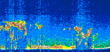 /calipso-imagery/data/BROWSE/production/V5-00/2021-10-04/2021-10-04_04-54-08_V5.00_3_thmb.png image missing