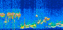 /calipso-imagery/data/BROWSE/production/V5-00/2021-10-04/2021-10-04_06-32-38_V5.00_3_thmb.png image missing