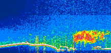 /calipso-imagery/data/BROWSE/production/V5-00/2021-10-04/2021-10-04_13-06-39_V5.00_1_thmb.png image missing