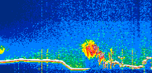 /calipso-imagery/data/BROWSE/production/V5-00/2021-10-04/2021-10-04_14-45-09_V5.00_1_thmb.png image missing