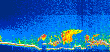 /calipso-imagery/data/BROWSE/production/V5-00/2021-10-04/2021-10-04_18-02-09_V5.00_1_thmb.png image missing
