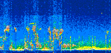 /calipso-imagery/data/BROWSE/production/V5-00/2021-10-04/2021-10-04_19-40-40_V5.00_3_thmb.png image missing