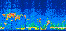 /calipso-imagery/data/BROWSE/production/V5-00/2021-10-04/2021-10-04_22-57-40_V5.00_3_thmb.png image missing