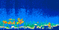 /calipso-imagery/data/BROWSE/production/V5-00/2021-10-04/2021-10-04_22-57-40_V5.00_4_thmb.png image missing